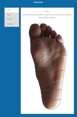 Virtual Foot